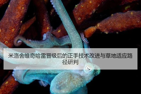 mi-luo-she-wei-qi-ha-lei-jin-ji-hou-de-zheng-shou-ji-shu-gai-jin-yu-cao-di-shi-ying-lu-jing-yan-pan-2-531.jpg